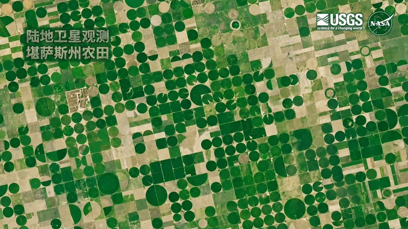 Landsat 卫星拍摄的美国堪萨斯州农田影像，圆形的中心枢纽灌溉地块一目了然（NASA/USGS）；本地化配图