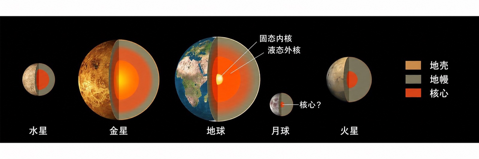 NASA 类地行星内部结构对比示意图，左起第二为金星，可见核心、地幔与地壳的分层（NASA）；本地化配图