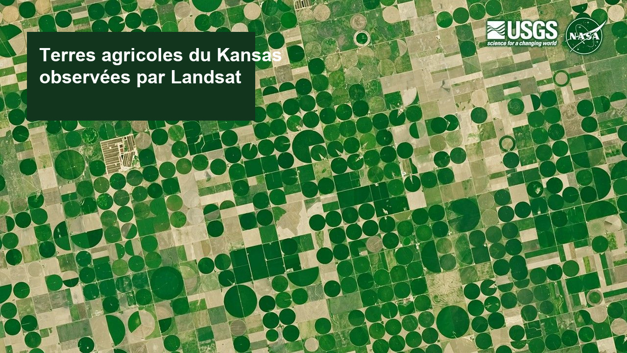 Champs circulaires irrigués par pivot central au Kansas, photographiés par Landsat