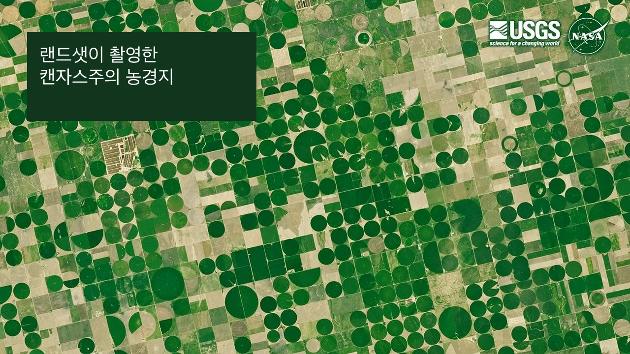 랜드샛이 촬영한 미국 캔자스주의 원형 중심축 관개 농경지